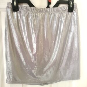 NWOT Metallic Silver Fitted A-Line Skirt by Day&Night in AM